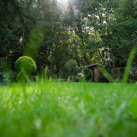 Le Nid Du Massereau ブーグネ エクステリア 写真